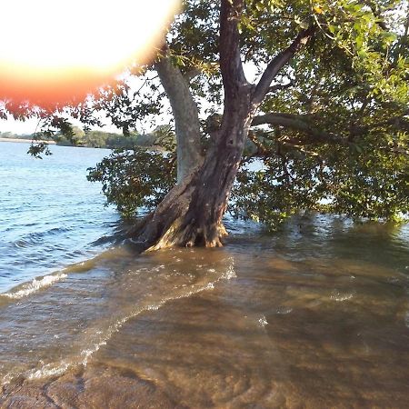 Niduwari Lake Homestay Dambulla Kültér fotó