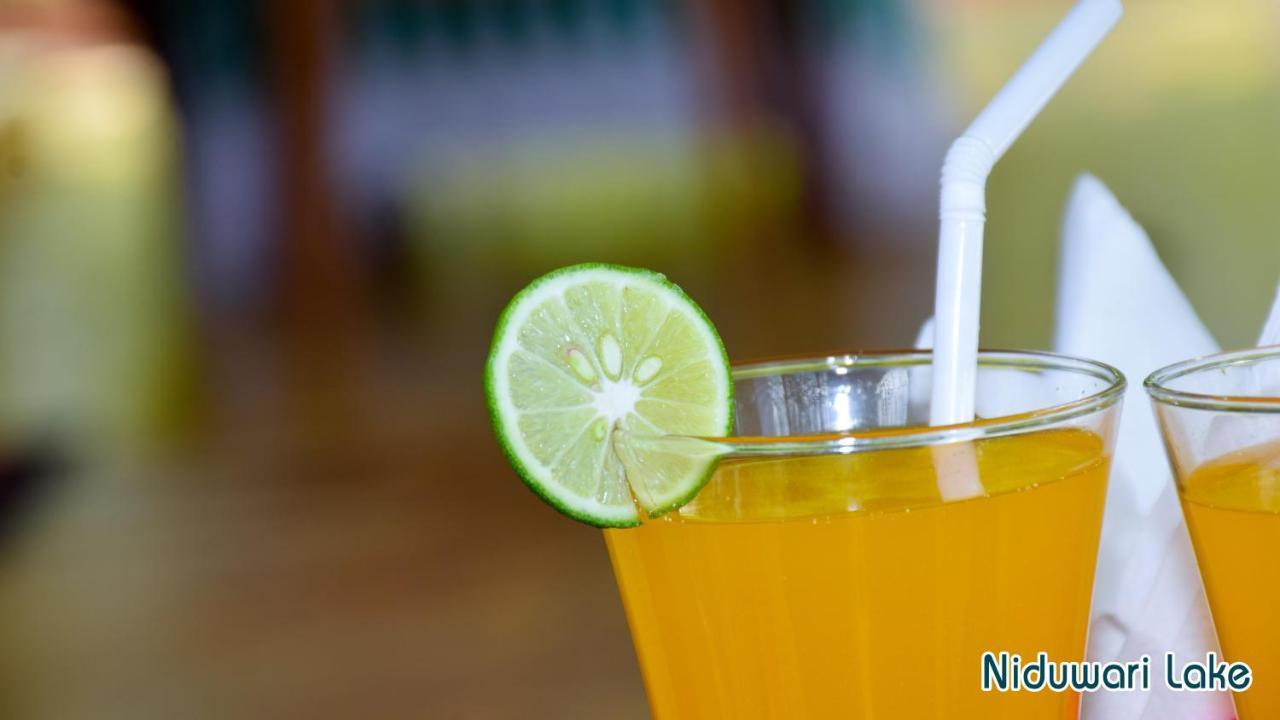 Niduwari Lake Homestay Dambulla Kültér fotó