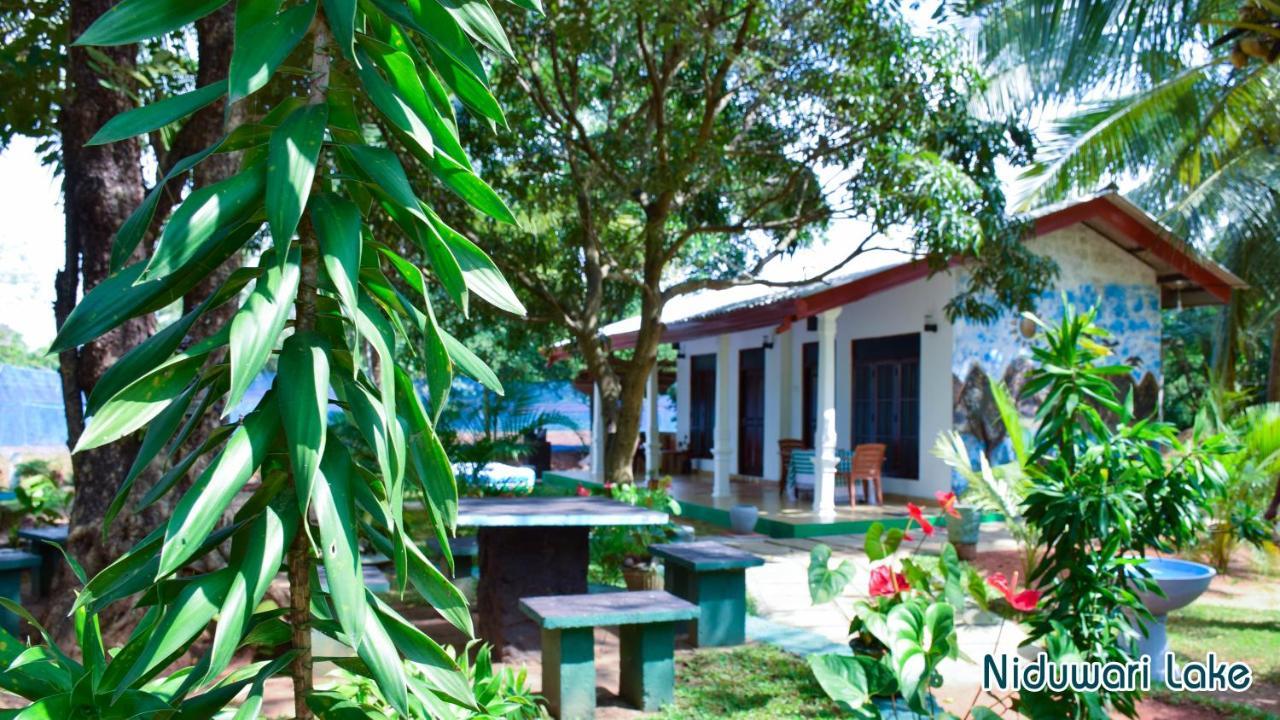 Niduwari Lake Homestay Dambulla Kültér fotó