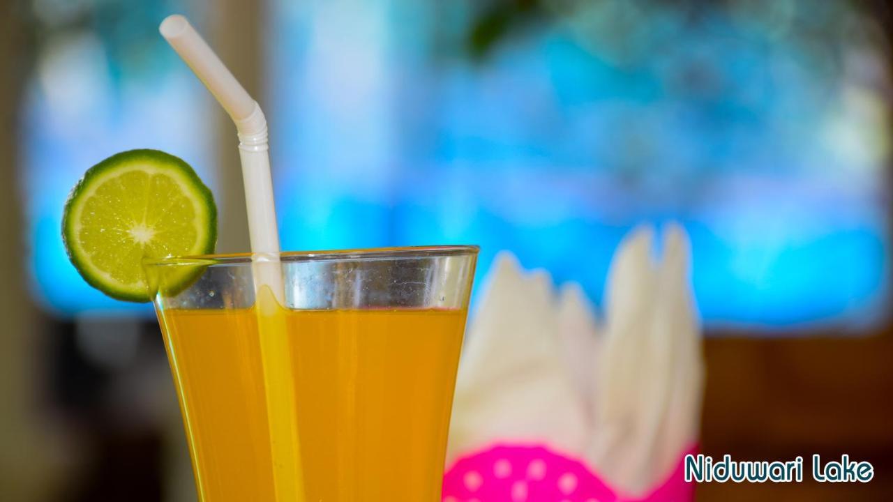Niduwari Lake Homestay Dambulla Kültér fotó