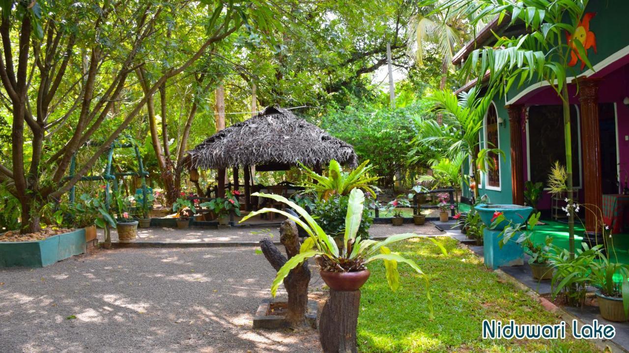 Niduwari Lake Homestay Dambulla Kültér fotó