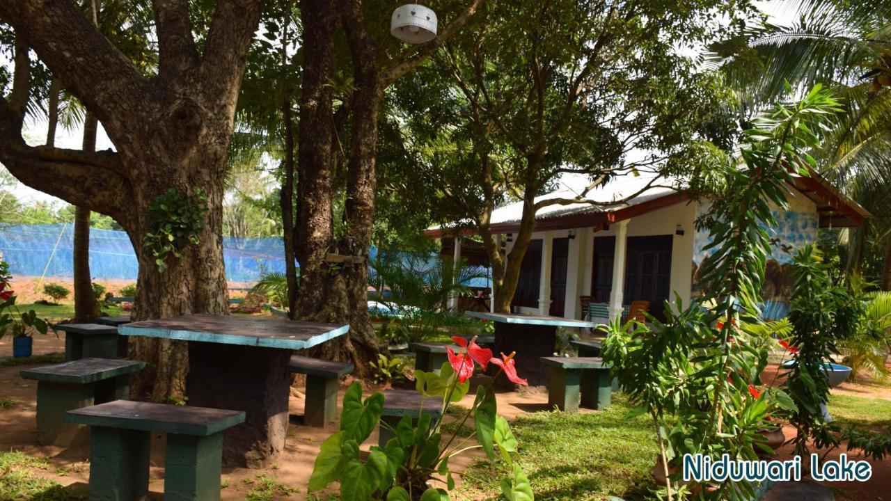 Niduwari Lake Homestay Dambulla Kültér fotó