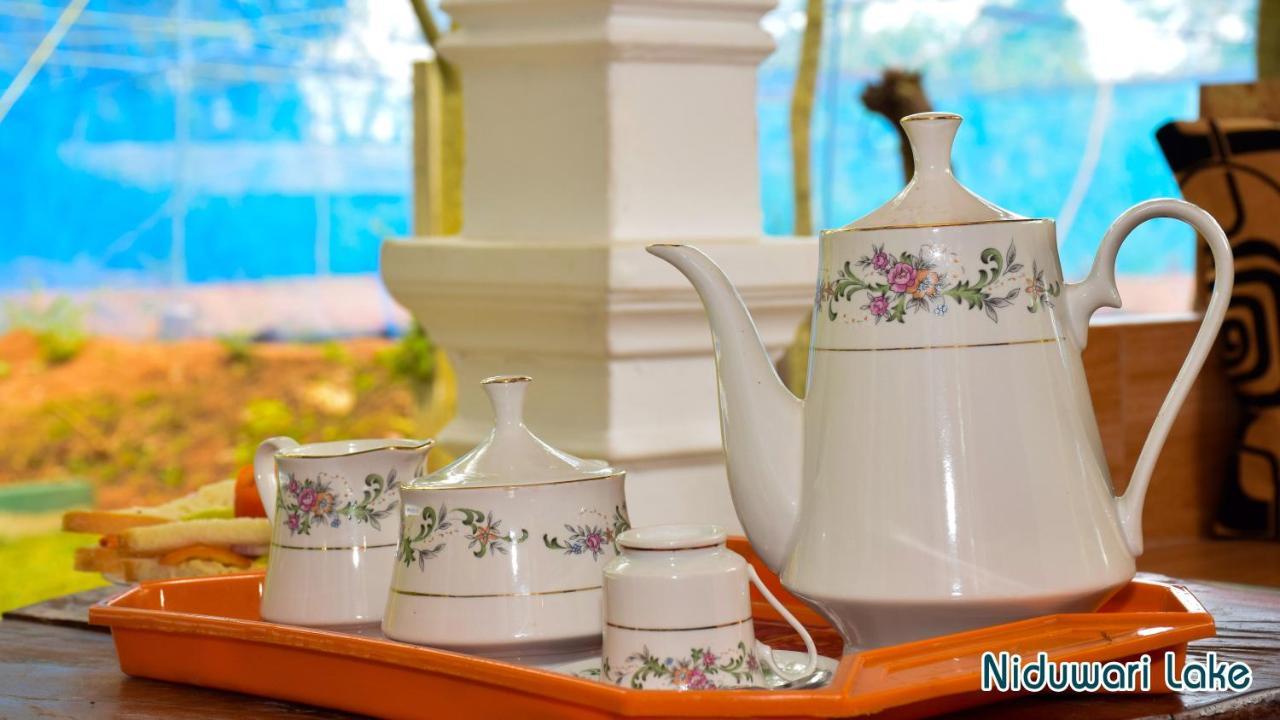 Niduwari Lake Homestay Dambulla Kültér fotó