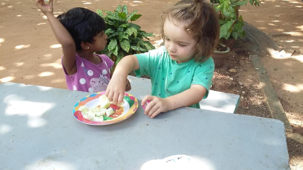 Niduwari Lake Homestay Dambulla Kültér fotó