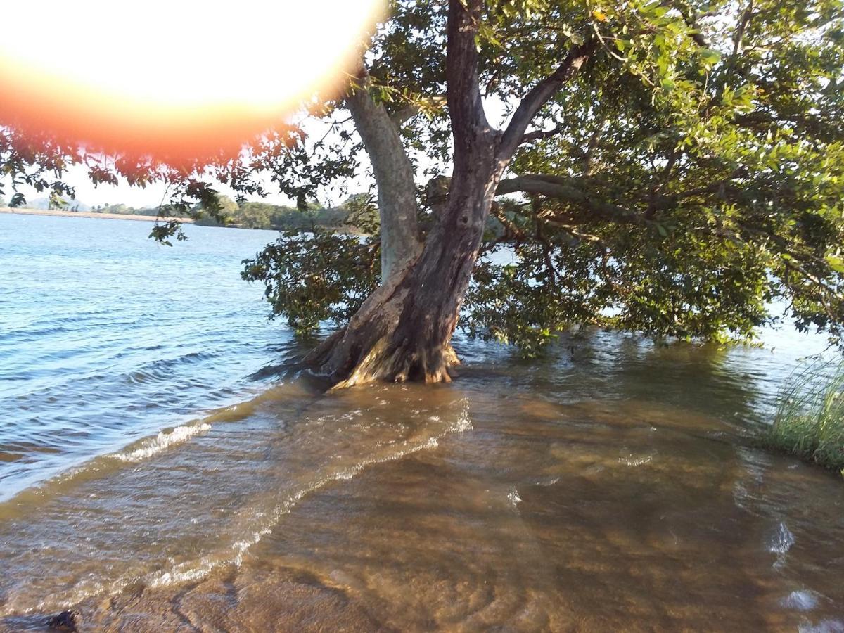 Niduwari Lake Homestay Dambulla Kültér fotó